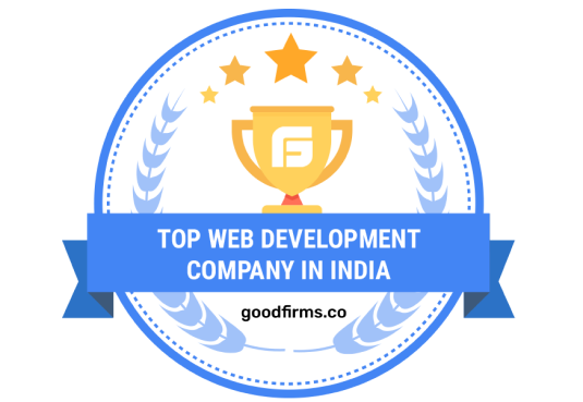 Custom Web Development Company in India